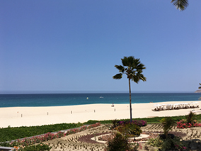 An image from our Los Cabos album