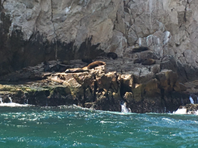 An image from our Los Cabos album