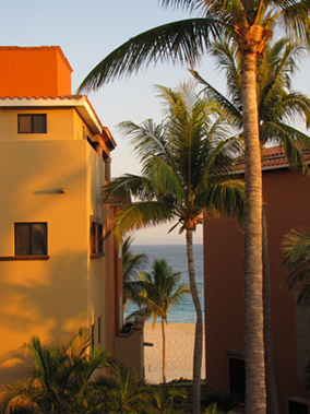 An image from our Los Cabos album
