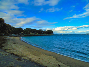 The image from Auckland