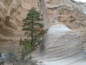 An image from Pueblos & Reservations from our albums