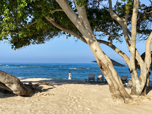 The image from our Four Seasons Punta Mita album