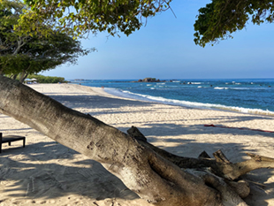 The image from our Four Seasons Punta Mita album