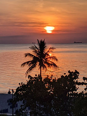 An image from West Palm from our album