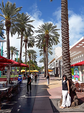 An image from Miami from our album