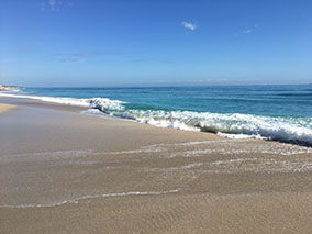 An image from West Palm from our album