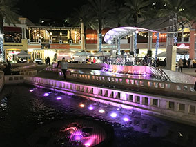 An image from West Palm from our album