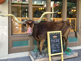 An image of San Antonio from our album