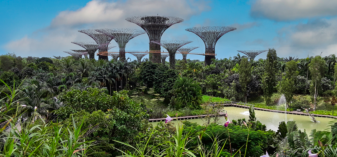 An image of Singapore gardens