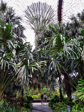 Images of Singapore Marina Bay at night!