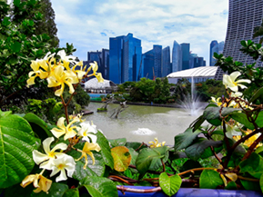 Images of Singapore Marina Bay at night!