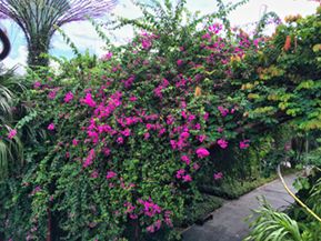Images of Singapore Marina Bay at night!