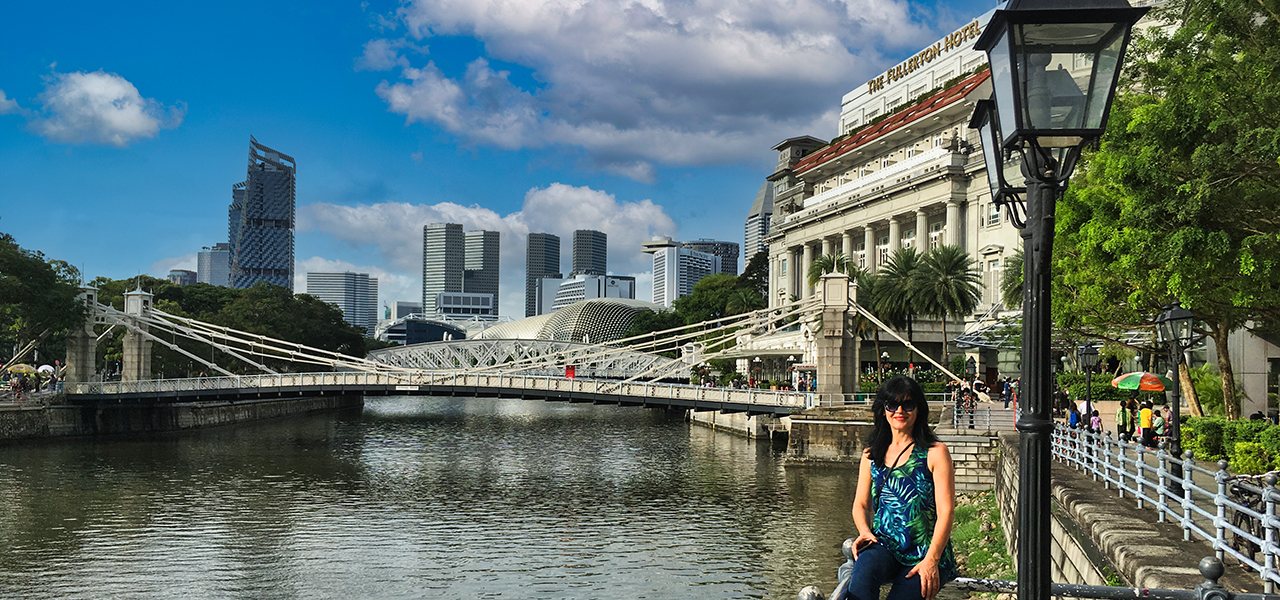An image of Singapore gardens