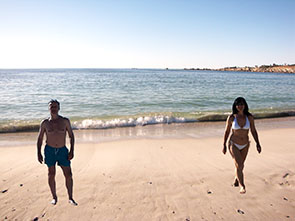 Image of pengins at the Boulders beach