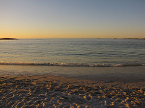 Image of pengins at the Boulders beach