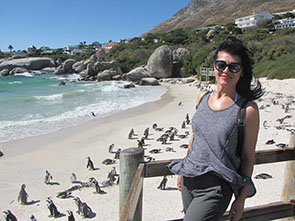 Image of pengins at the Boulders beach