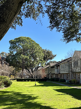 An image from the Victorian Village 1, Houston