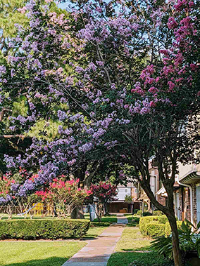 An image from the Victorian Village 1, Houston