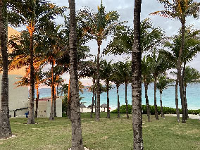 Image from Cancun from our album