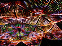 Ceiling lights at Houston Magical lights.