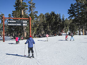 An image of Lake Tahoe from our Album