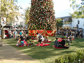 An image from the Grove, LA