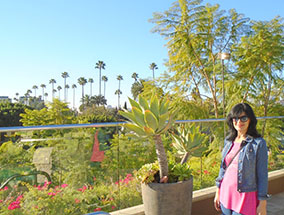 An image from Los Angeles street walk