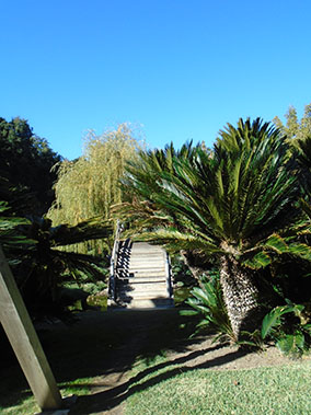 An image from Pasadena in Los Angeles