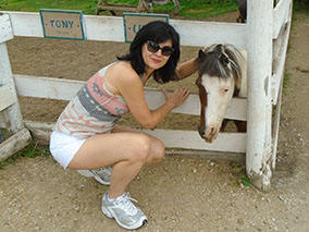 An image from horseback riding