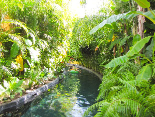 The image from our Four Seasons Punta Mita album