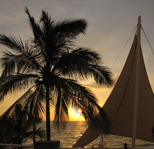 Images from Puerto Vallarta