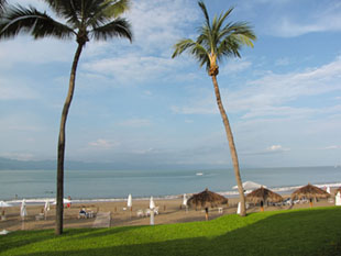 Images from Puerto Vallarta
