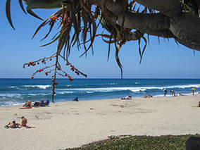 An image from Carlsbad beach