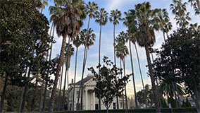 Image from Palo Alto